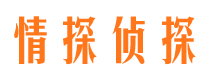 六合市侦探调查公司